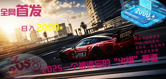 全网首发:2025一个被遗忘的“火爆”赛道轻松日入多张-51创业资源库