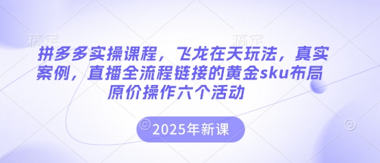 拼多多实操课程,飞龙在天玩法,真实案例,直播全流程链接的黄金sku布局原价操作六个活动-51创业资源库
