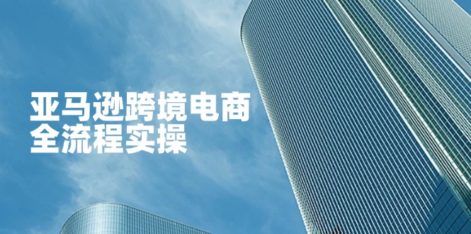 (14252期)亚马逊跨境电商全流程实操,教你从零开始,掌握店铺运营与广告技巧-51创业资源库