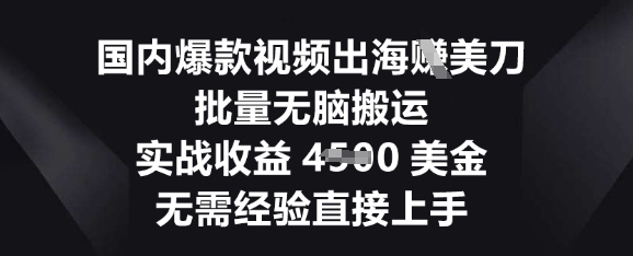 国内爆款视频出海挣美刀，批量无脑搬运，实战收益4.5k，无需经验直接上手-51创业资源库