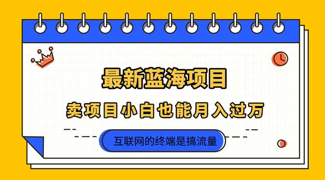 （14289期）2025年最新蓝海项目，卖项目小白也能月入过万-51创业资源库