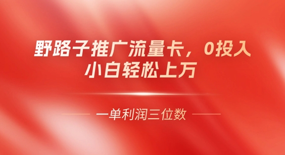0门槛推广流量卡,一单收益上百,0投入,小白月入过W-51创业资源库
