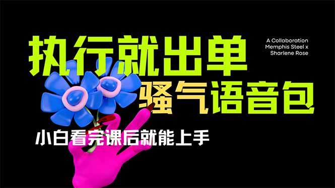 （14170期）爆火全网的开车导航骚气语音包,只要执行就出单，小白看完课程就能实操...-51创业资源库