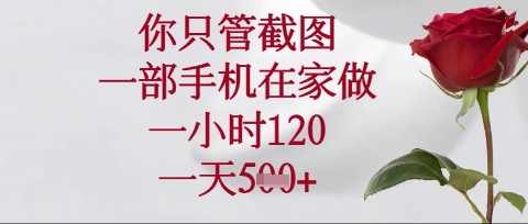 你只管截图,一部手机在家操作,一小时120.一天5张【揭秘】-51创业资源库